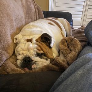 Meet your Posher, Robert